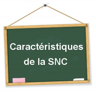 Snc personnalité juridique